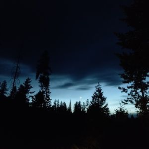 Meet your Posher, Rosa